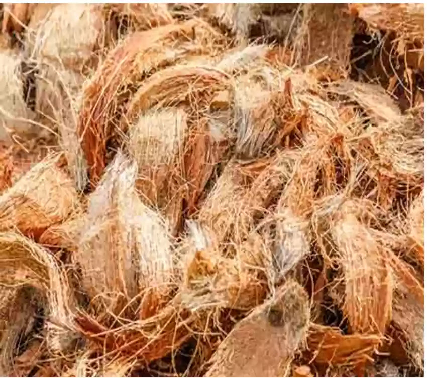 Coconut Fibre products