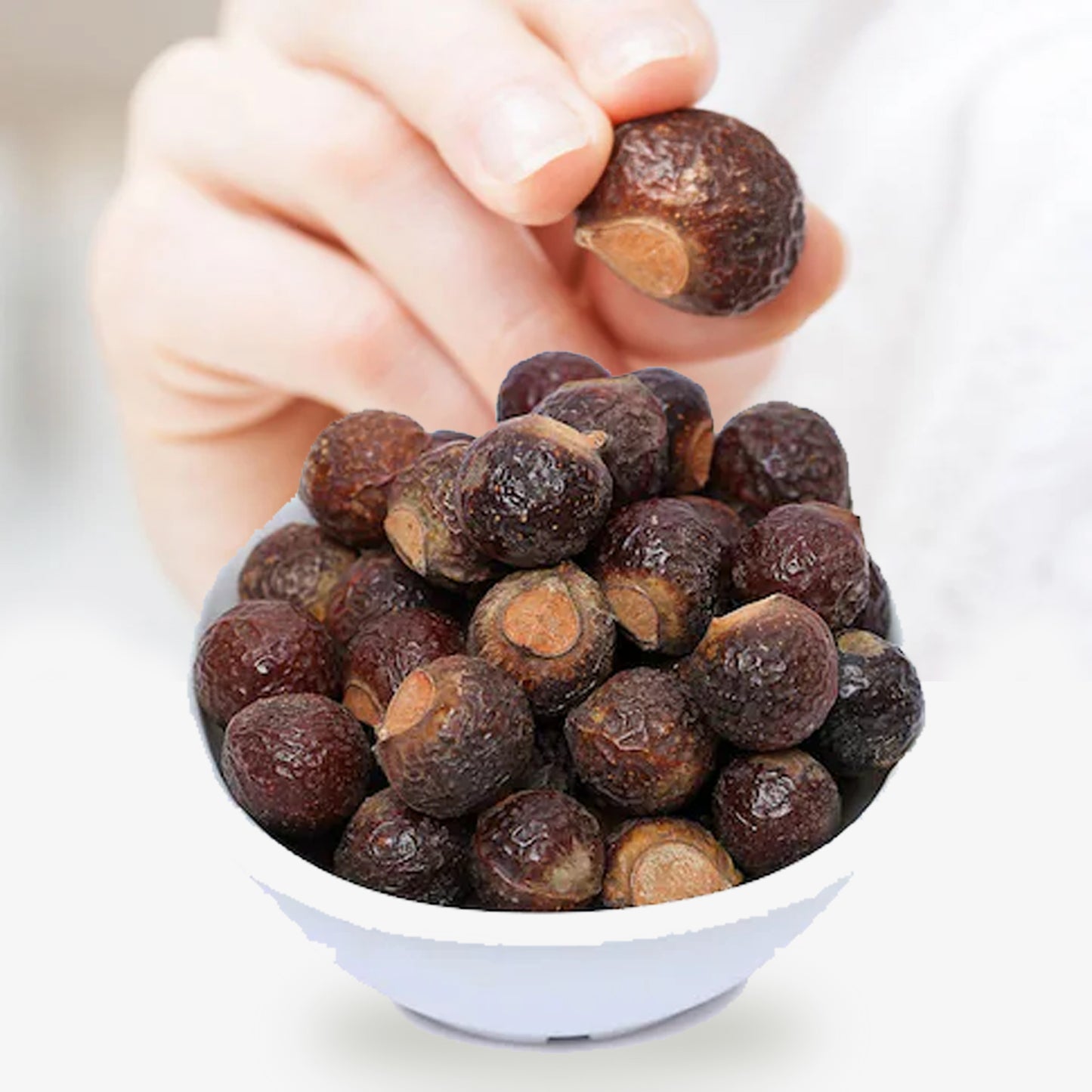 Soap Nuts Shells (Raw Reeta with Seed) 1 kg