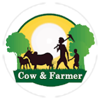 Cow and Farmer