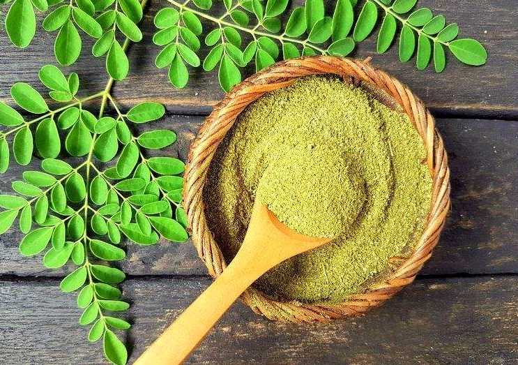 Moringa (Drum Stick) Chutney Powder 100 Grams